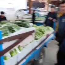 精品瓠瓜大量供应，全国发货，保质保量，可视频看货