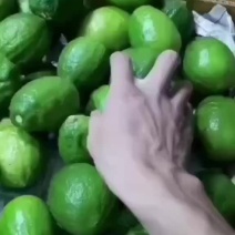 广东无籽香水，一级果，质量保证，直地直供，欢迎咨询下单