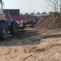 优质兔粪出货中