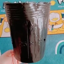 营养钵育苗盆