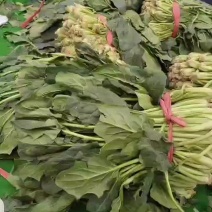 水果蔬菜
