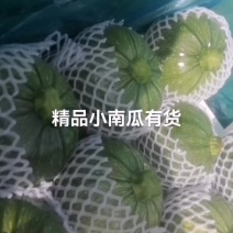 精品小南瓜，有货