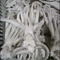 单冻鱿鱼，口感好，做工精细，成年有货，价格便宜，欢迎咨询