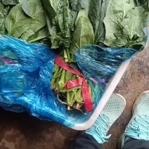 叶菜