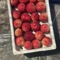 大棚突围，红梅，春雪现在已经大量上市，