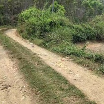 鱼塘出租