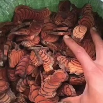 鸡血藤红藤海峰藤雷公藤翻白草黑老虎进口血藤