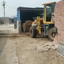 优质兔粪装车发货