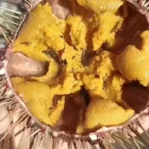 海胆