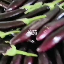 长茄有货