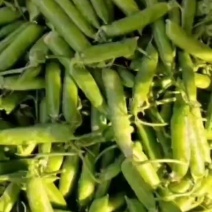 豌豆