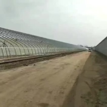 种养殖大棚厂家直销质保十年规格齐全安装一站式服务