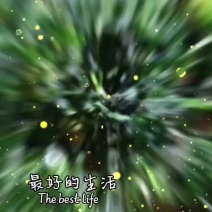 荠菜干，干荠菜，2023新货，山野菜，