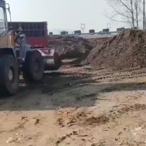 优质兔粪装车发货