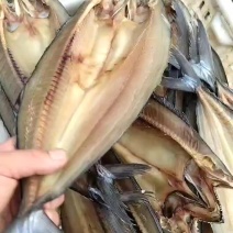 青岛一卤鲜新晒鲅鱼干淡干不咸马鲛鱼干顺丰快递
