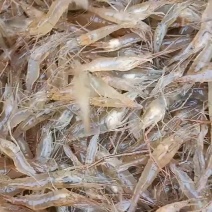 淡水河虾