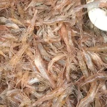 淡水河虾