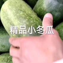 小冬瓜