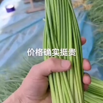 蒜苔