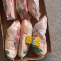 白条鸭