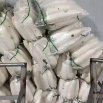 白萝卜