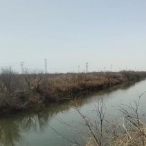 东营市河口区有田地三万亩。对外出租。黄河水路电三通。