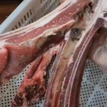 满肉牛肋排肉厚质量好【可视频看货】厂家直发证件齐全