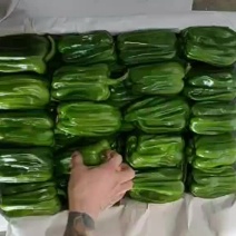 麻辣椒质量好，大量有货