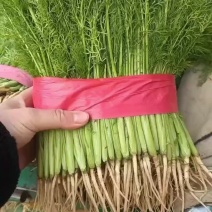 精品
