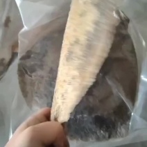 山东莱州多宝鱼冷冻