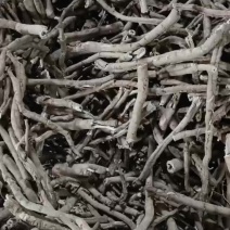 牡丹皮