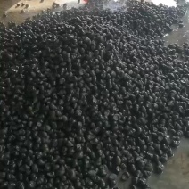 精品田螺