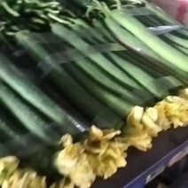 鲜花丝瓜