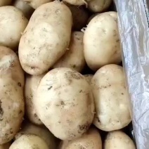 丽薯