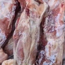 带腱后腿骨6.5