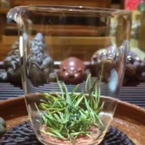 2023高山安吉白茶