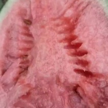 早春红玉大量上市中，质量杠杠的！有需要的老板联系了