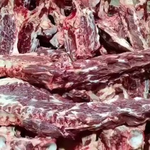 蝎子。驴蝎子，驴骨头，脖骨骨头，肉多驴骨头