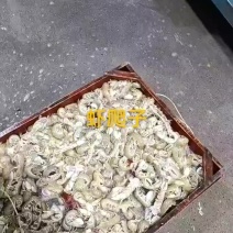 虾爬子