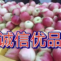 诚信合作共赢发展！产区代办欢迎你！