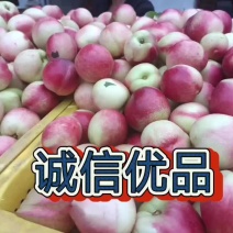 以诚待人！以信立业！注重信誉！欢迎长期合作！