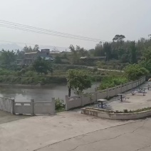 60亩鱼塘果地出租