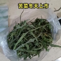 野生干苦菜