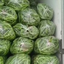 精品陇椒大量上市，产地一手货源，需要老板联系