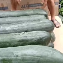 吊冬瓜