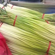 大量供应，红帽蒜苔，，有要的可以联系我
