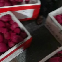 红心芭