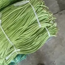 豇豆