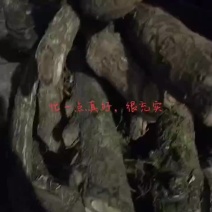 海风藤，五花血藤