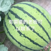 夏邑8424